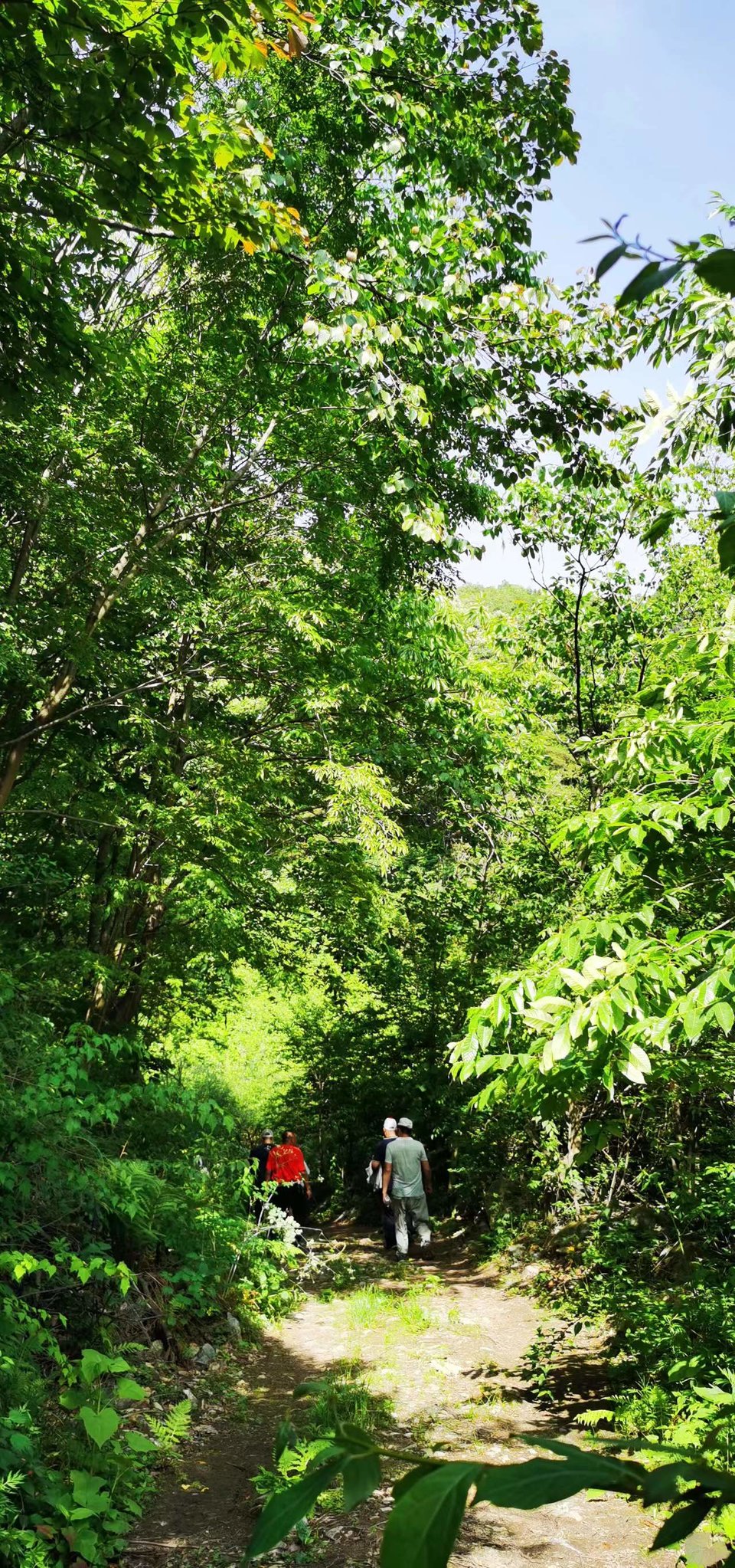 ncQgxe9Ji1OjmSm_Xr3sucTnrRAkrUj24oBMS09skHOM5FO9wCv2VFk_P5snpRJ6