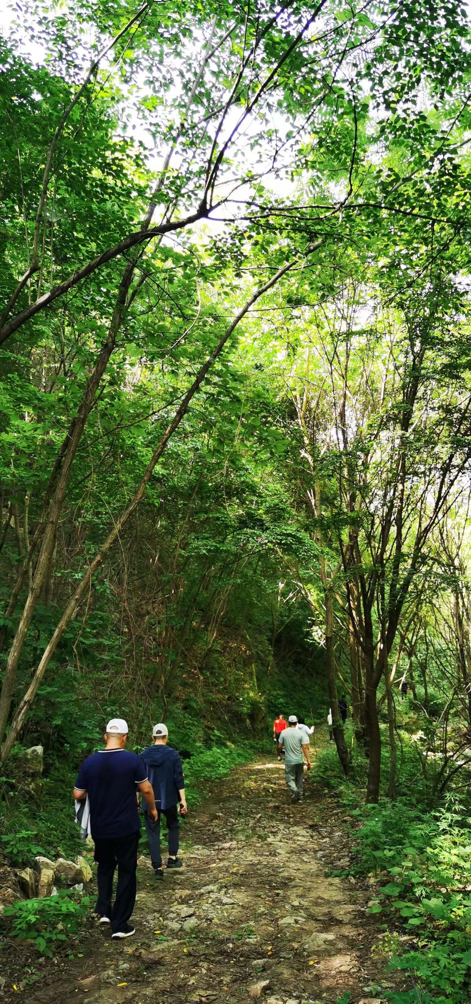 ncQgxe9Ji1OjmSm_Xr3sueE5dMxTVppItB933GbgU2RJvXWKH-7pt9lGMxQjRRKj