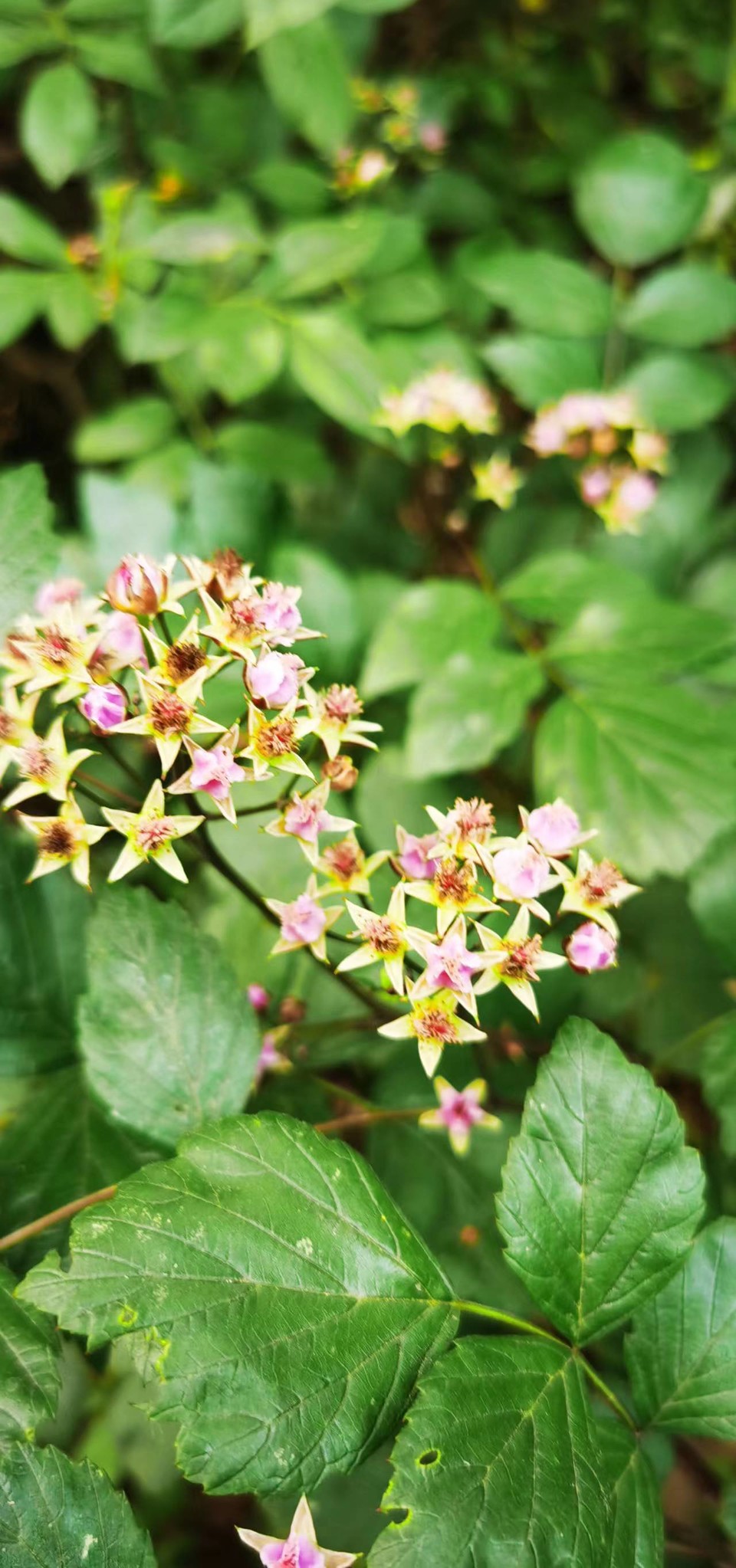 ncQgxe9Ji1OjmSm_Xr3suUtr8zKJVmGKu8Yb5GXq11JzSdDcaywPQvBzC7_760dM