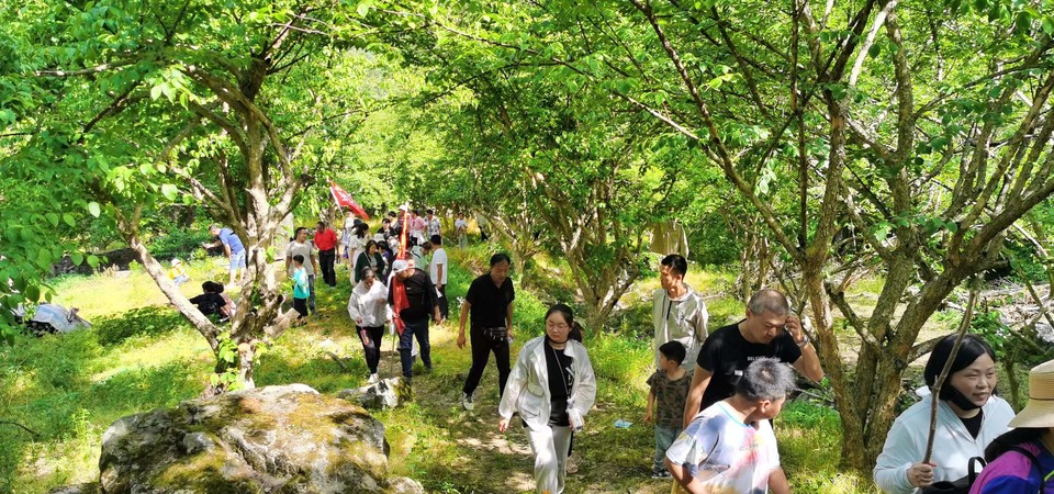 ncQgxe9Ji1OjmSm_Xr3suWoBrM9UCtZe1MMAoZo0jrYyKUj18YTdsYi9TgEaz-mp