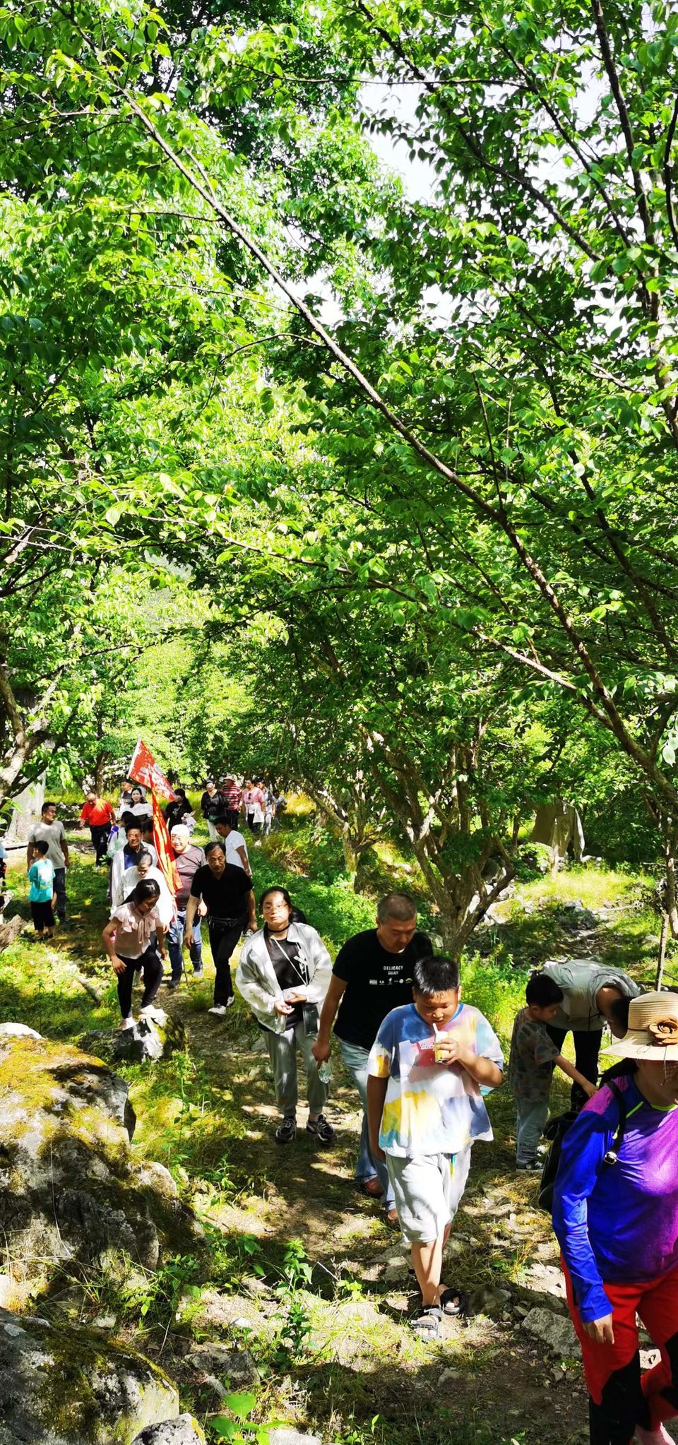 ncQgxe9Ji1OjmSm_Xr3sueSah4m6nSQiCH7CyTCUC91UuPfVUEuLkKY4zNqkO5O_