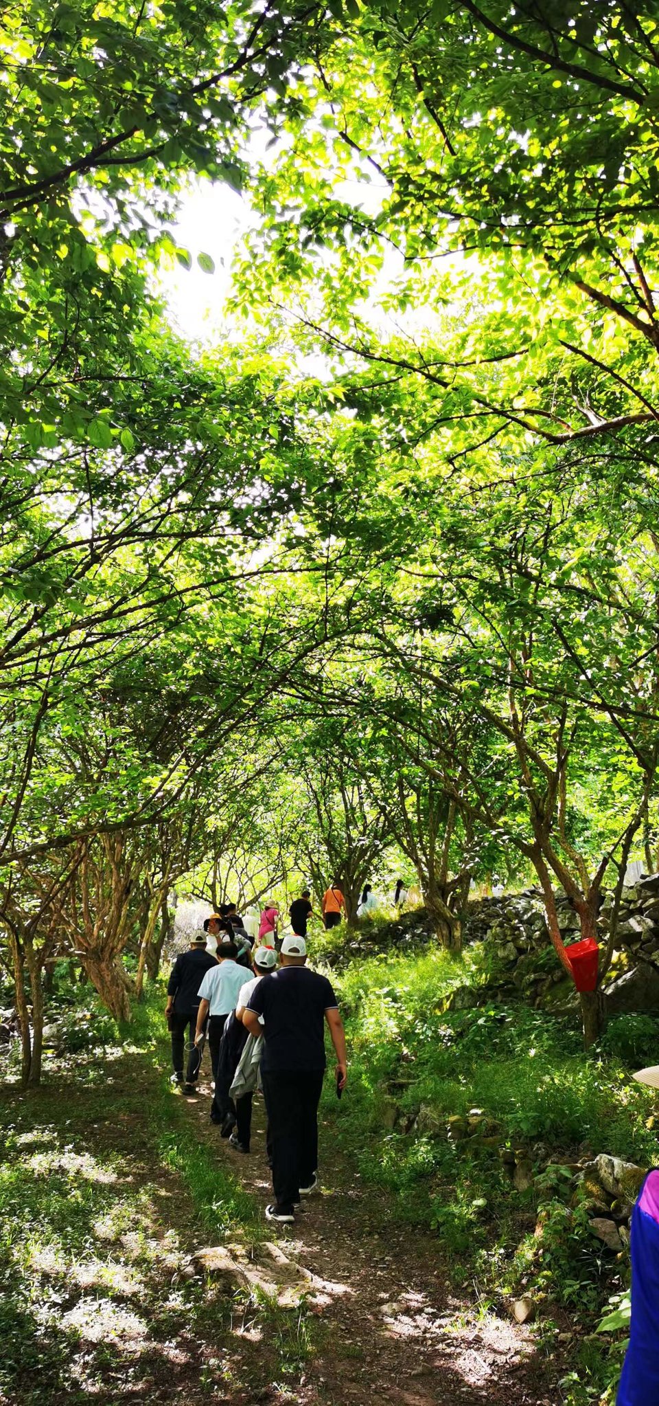 ncQgxe9Ji1OjmSm_Xr3suf7zb7fXpyhln3gC8X_qDIA_tm2WO8ltVN1S6ub0_Y0Y