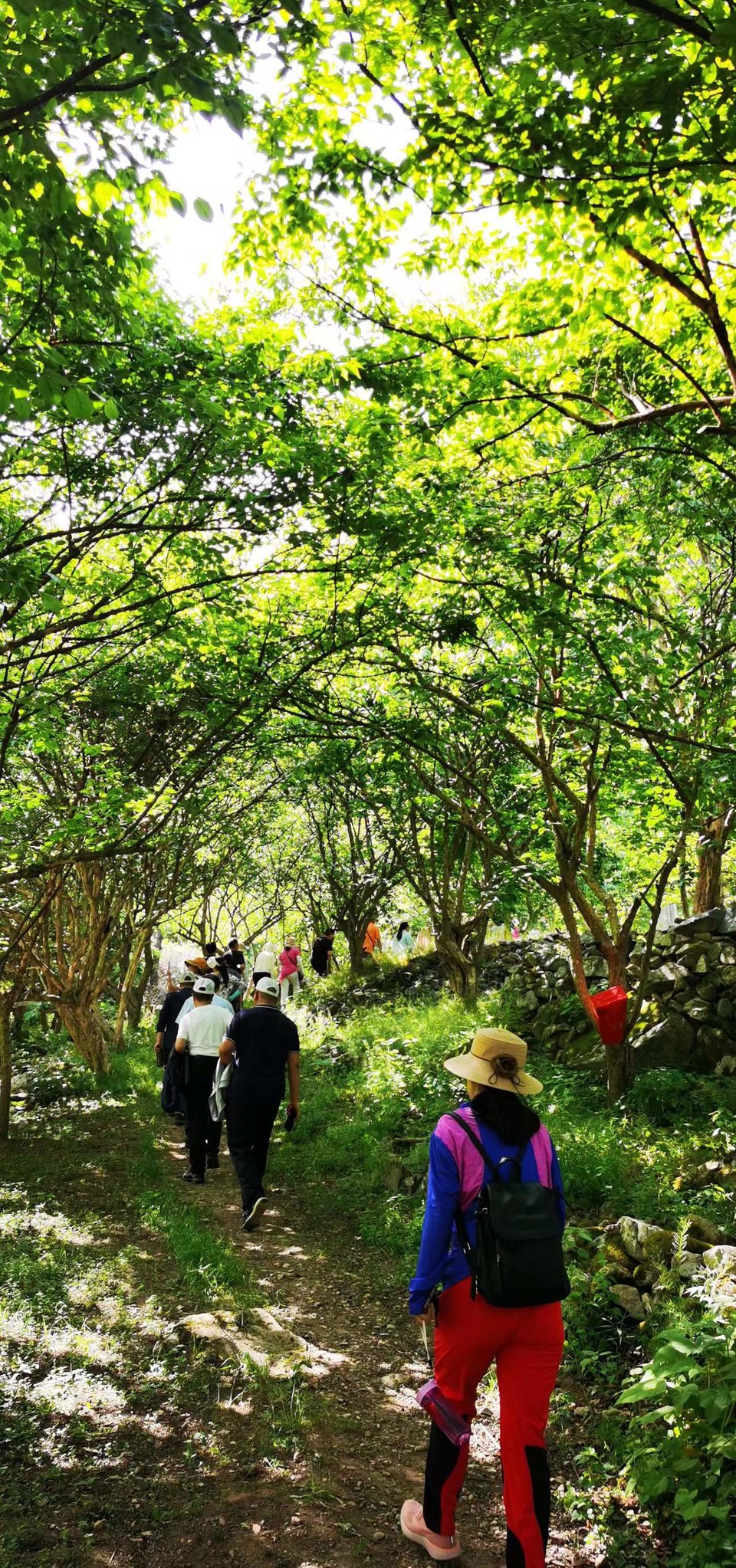 ncQgxe9Ji1OjmSm_Xr3suXPdB4_Z4ousd-MH6YjOe8HweD_M4dSvr7lct5hcHiYh