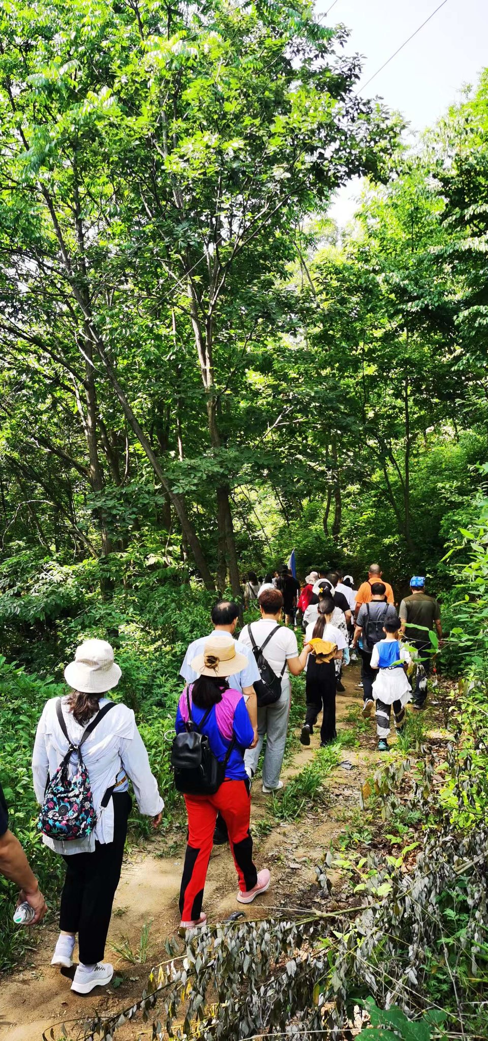 ncQgxe9Ji1OjmSm_Xr3sueBDXuFfQvFXqchP3V6Qp71NqmaDLxRD-4ppeXf5I-jE