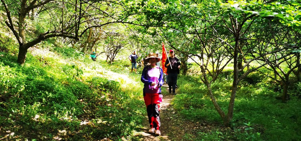 ncQgxe9Ji1OjmSm_Xr3suXxy_DrXjh-GghxHDvLGYMogWb2Kb2khW0DElbUakB6U