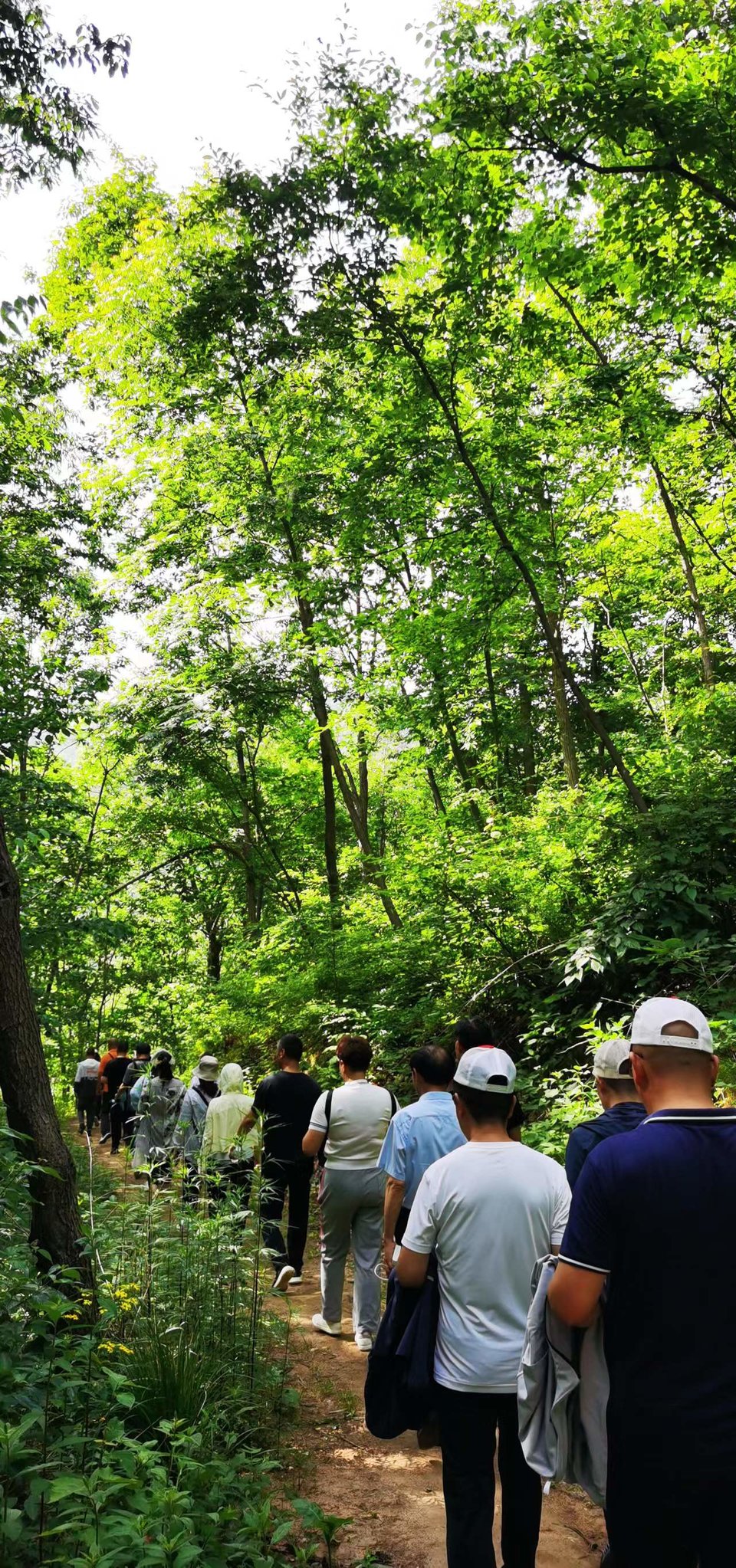 ncQgxe9Ji1OjmSm_Xr3suW6edGyeKciJEszK4gU6Vgz9_13npLAnRZBwJaDQH6pY