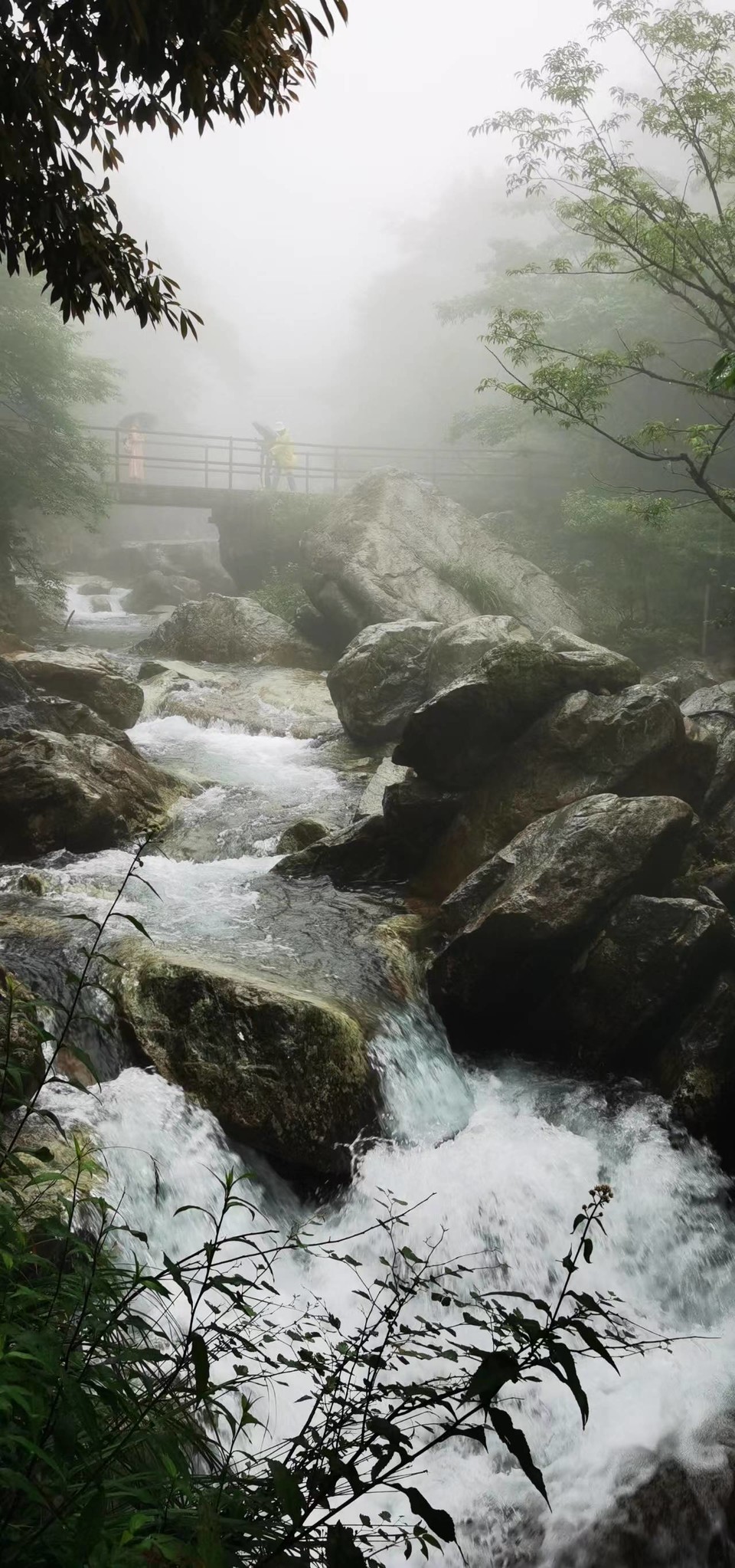 i6c6DHZJrCF_DsPGGMNxIVOD6AyeVZLjNgdrckIrbIUq-1WL7itqWOZBr_qTmgxN