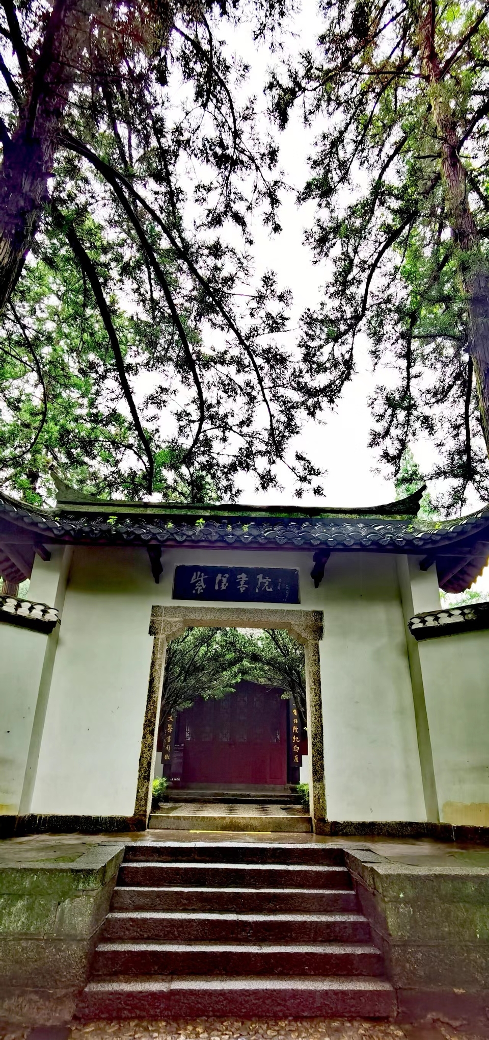 hnadIWB_zIWO9415gZu9MRLUTz5Pls4_WsPWuRtIaUGjD2Li6-TGAqFfSBxNl4YF