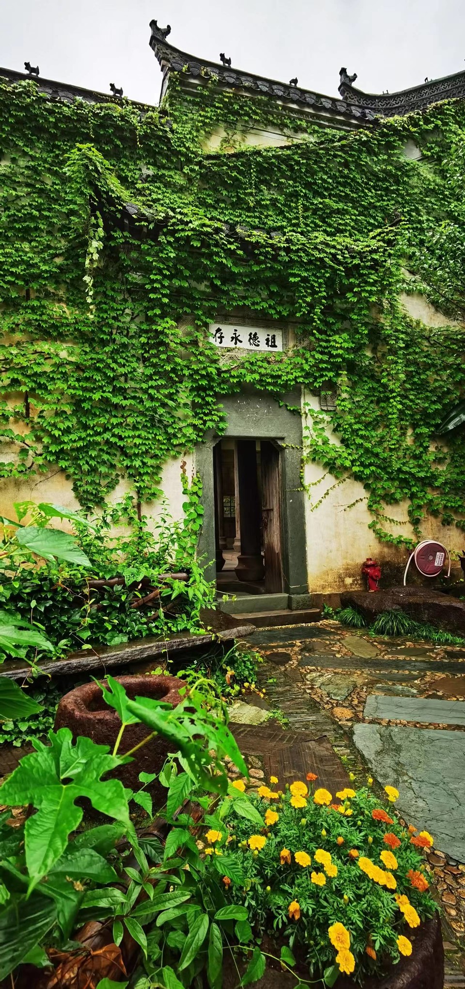 Amc_2ayxnKnmr7yBOnVhJFaPxDtHPsgUwnWltk16klCFQhOFRxYGKDxwg6Grf2B_