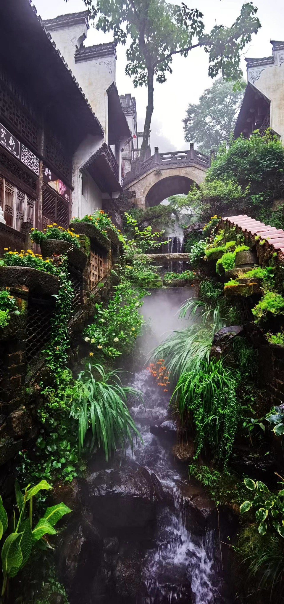 Amc_2ayxnKnmr7yBOnVhJFsrw3zix2HVBEBVlUSrXV_eo4VirUgUme3lViPf9c3e