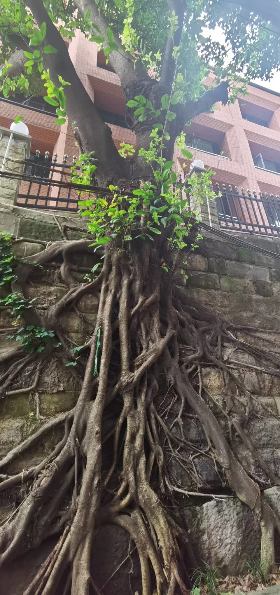 FzpxKQn_mty2A8rkLMqTVb-jAuJ-UDM1SobCIxRMEJu-3pN926CQ0-To_xok_s6W