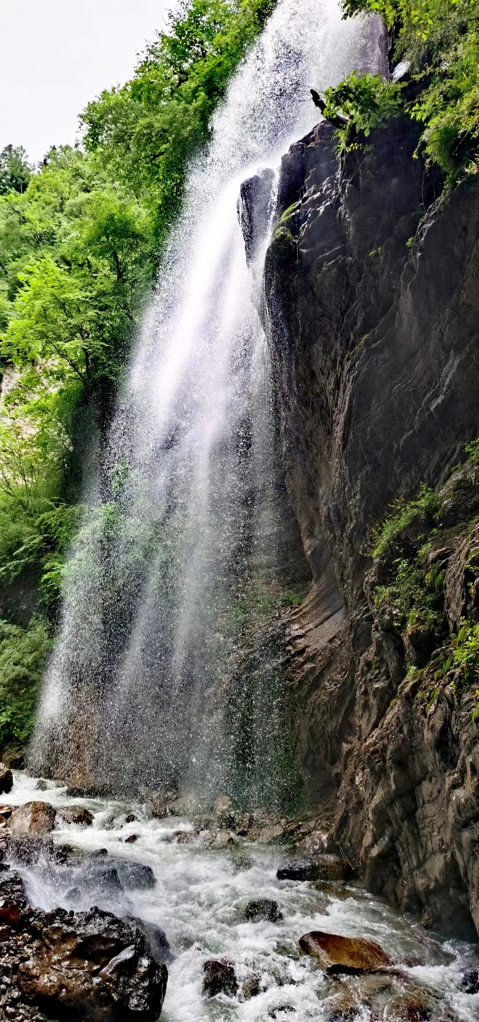 NEzlLSrve16CHU2Vc79EYWmW9UtpcElT9QZ8eNBaER7IutlpWUqvwJvsFpSAzDUf