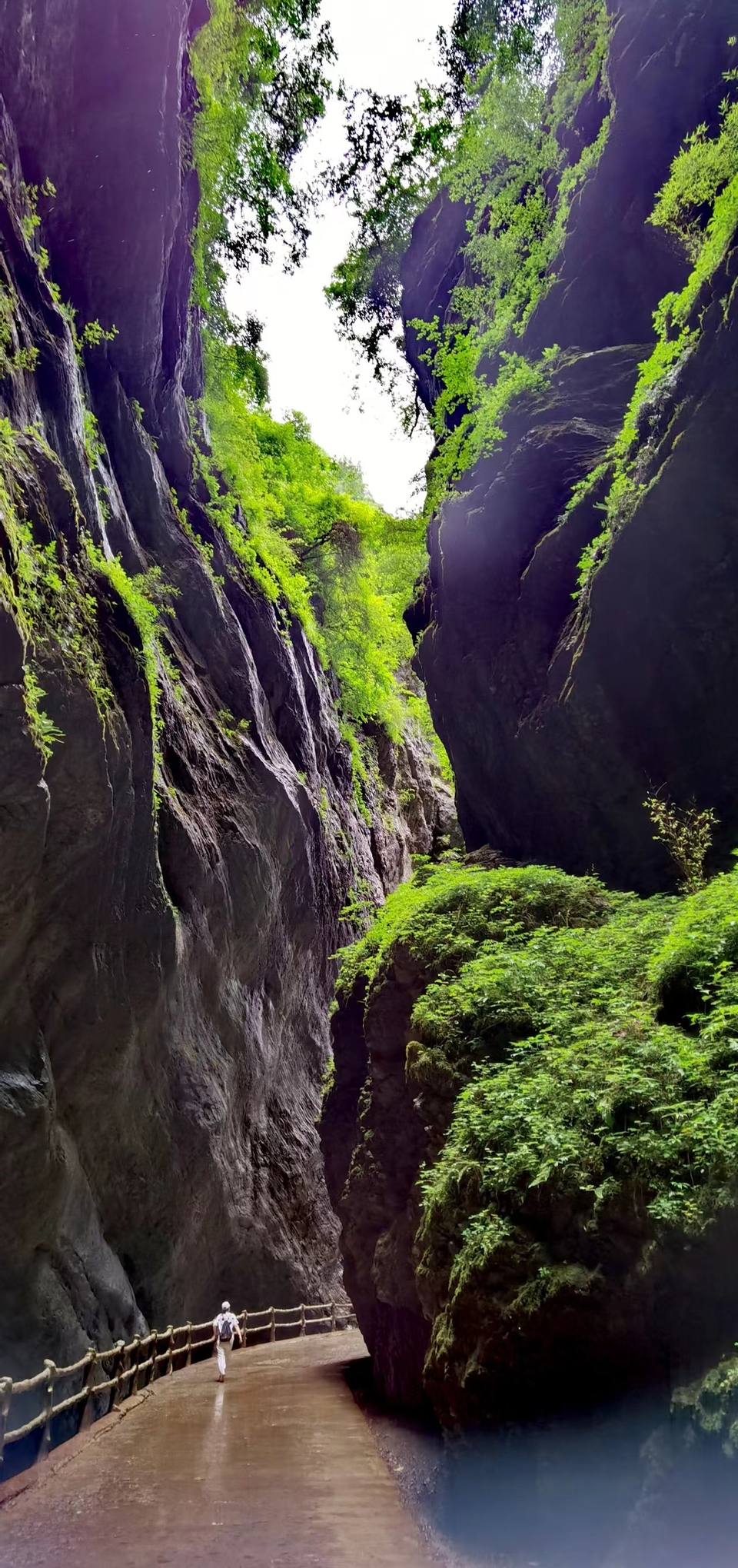 Vi9A8EizhMjmCxM5HpoTVgufN85Bq1HIeccmFs5POqrKrD_QQcTWH6CM8DSmFU2b