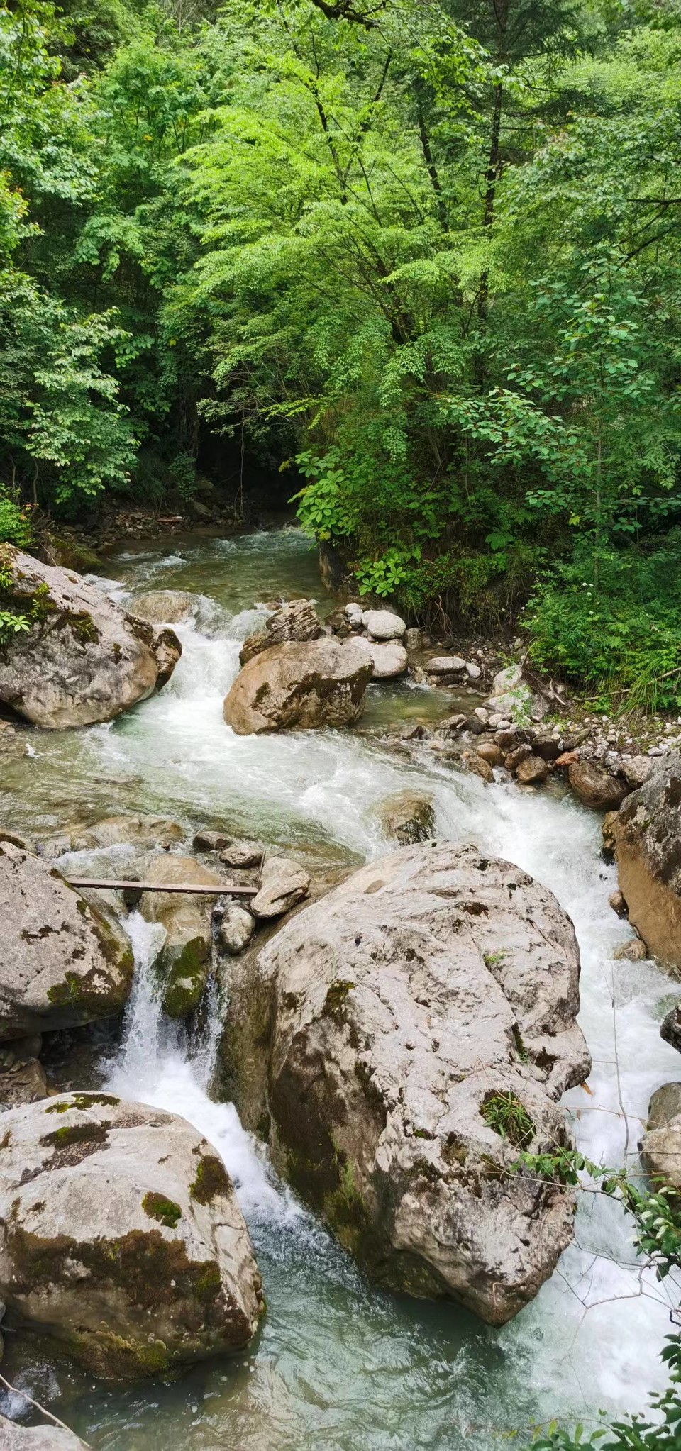 Vi9A8EizhMjmCxM5HpoTVnHTJJatAN1MFYJZ-kaK5Ly7zZaH02yRNJ-v-CmWitmH