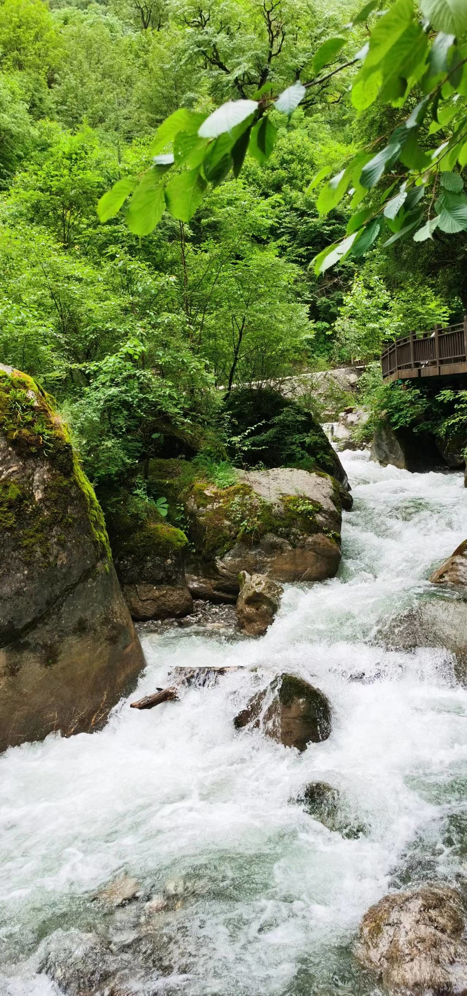 Vi9A8EizhMjmCxM5HpoTVjr64kFt8t2I3grcCSJfYEGJSWa4DPjbYttFIlwOnJl0