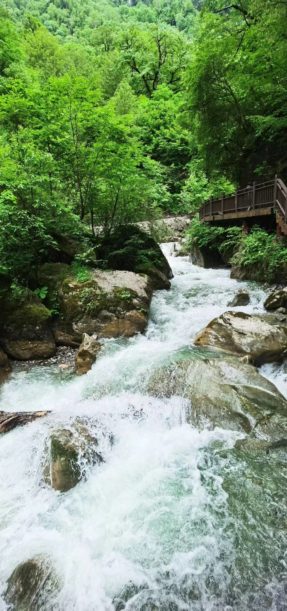 Vi9A8EizhMjmCxM5HpoTVp0SxsuIhPl31y9NJTSL4hM-n0prz8VTFlco_2PgdmFj