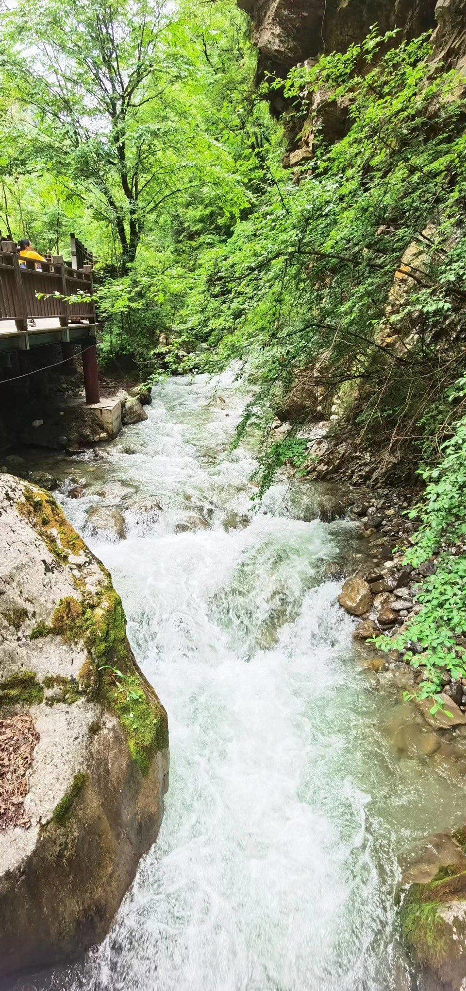 Vi9A8EizhMjmCxM5HpoTVoh_U-5T-HRSciTnaXxdclZg9d651m0VC82-Chrf0QJg