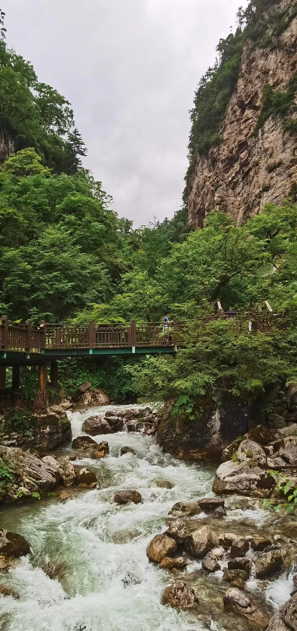 Vi9A8EizhMjmCxM5HpoTVo2tuTylwZ2_Nx0YkhTZoyskoJbYOf2ea4x0FGk4w4ME