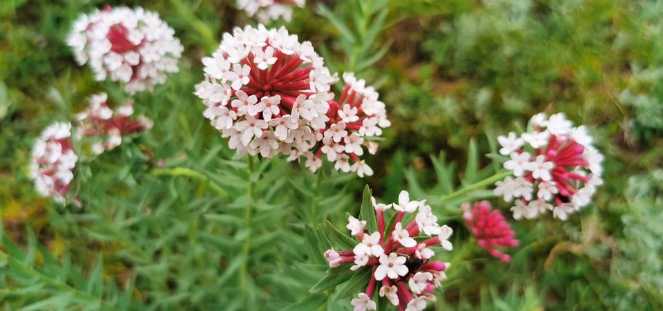 Vi9A8EizhMjmCxM5HpoTVrNBw5LvJMTHpMFilumwIceEzTx8wcZRMJ-tRGQZoiB6