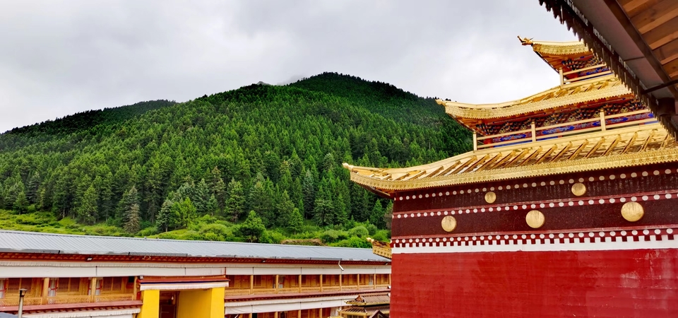 Vi9A8EizhMjmCxM5HpoTVk_Gxd7KJcIWYtyeZSOnAa_Ga0iFEzY7dq_0SLxEKjyh