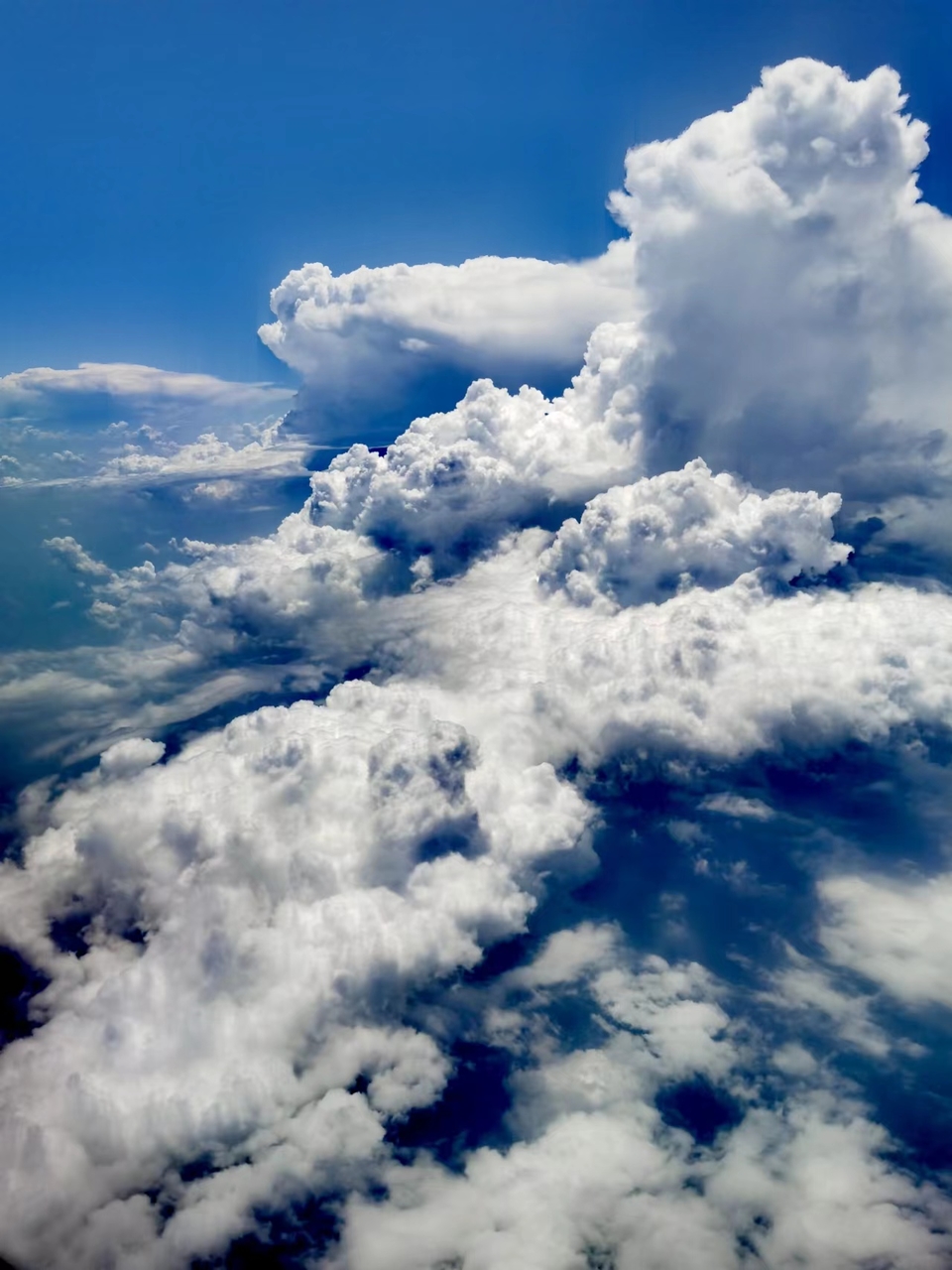 o-WjJZuxLzxqpG2_LqhrE4vo6kerFMclH86kwY-jJeJSrmjWhmEmj5lsF7o9WhqL