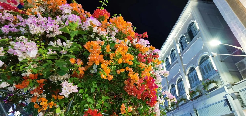 o-WjJZuxLzxqpG2_LqhrE2FEVfGS05ckVXE0puYaUEQtyNLCw0TWCj4C15j2H1E2