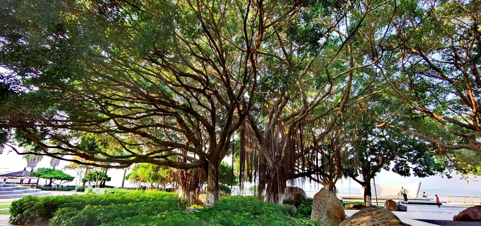 o-WjJZuxLzxqpG2_LqhrE-_LycjdTdFJaZAK5Ue9nLrItXKGF7NLRufijM8Cr8nl