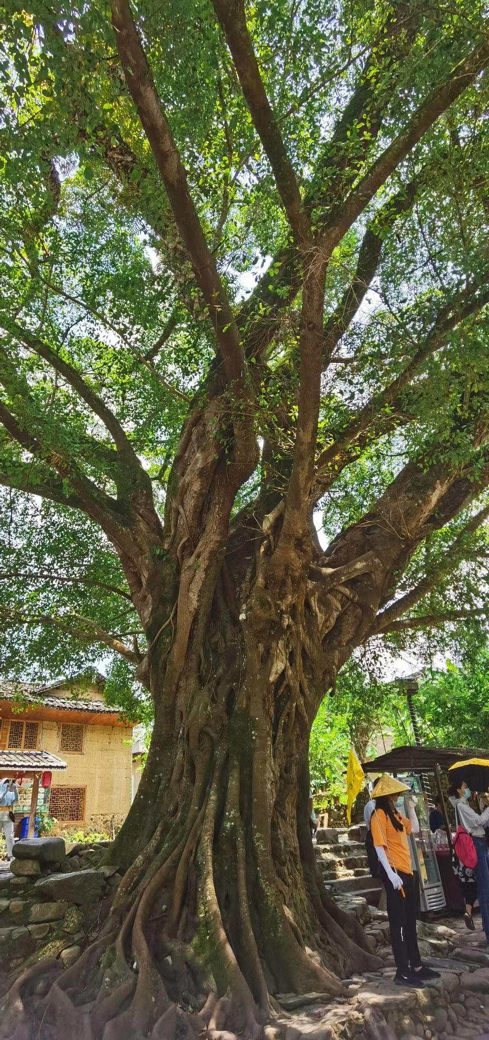 o-WjJZuxLzxqpG2_LqhrE87iiB485m2XHFLr09d_nVBHFmv55d4bgooM7M0Vz3h7