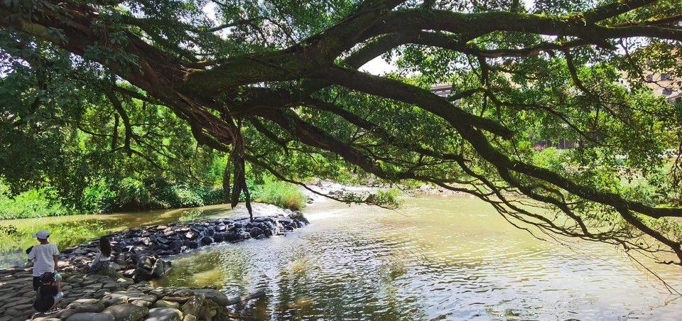 o-WjJZuxLzxqpG2_LqhrEw7SIjXFJ4sRS8q-8qnUp9YyPTevE7_lk33CV4PfoQLv