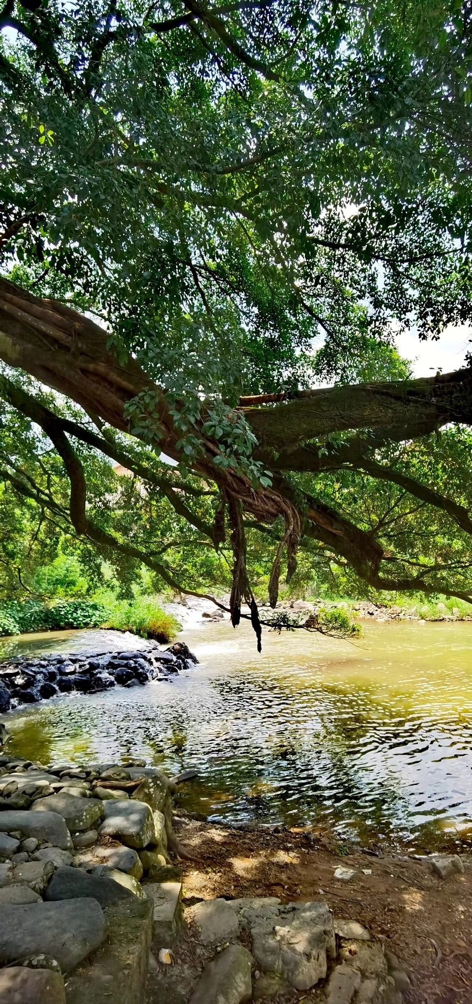 o-WjJZuxLzxqpG2_LqhrEzH26nthbmqfk_Lm2DXd_Cmk8CxrnG_xLxkBqdcjbi9Y