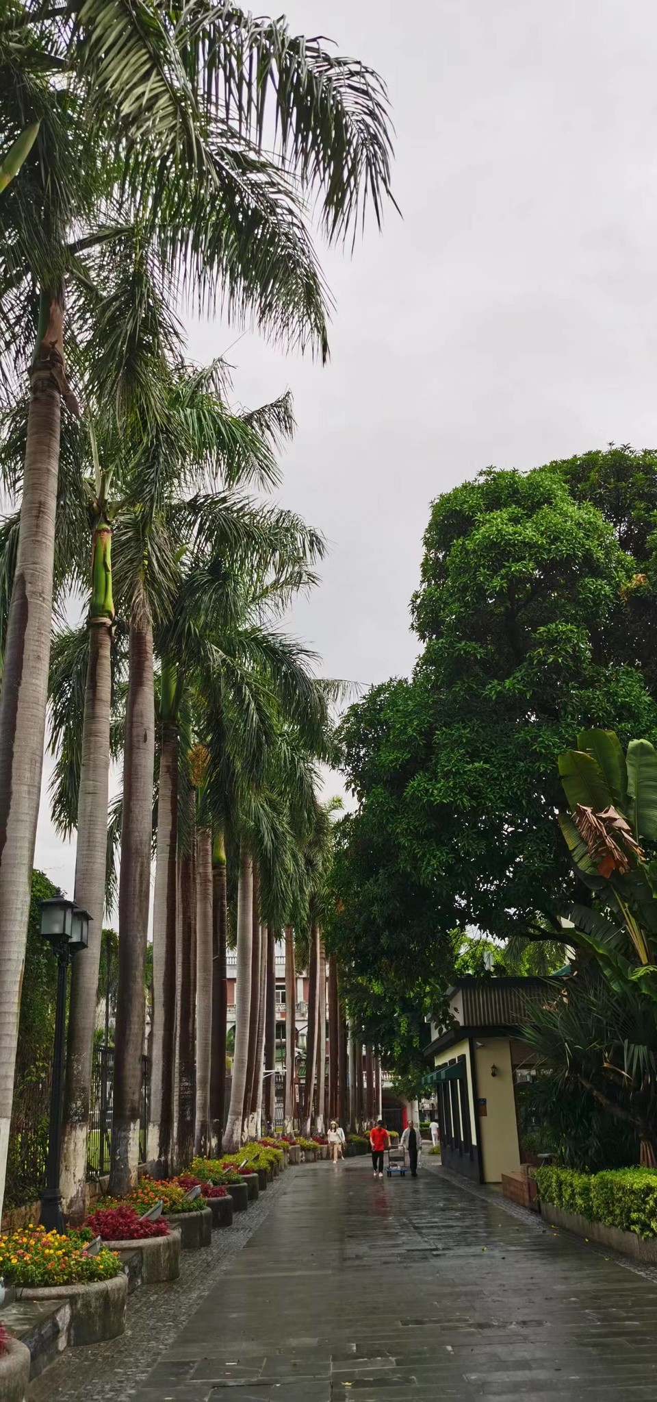 tjZbOD_q35yVOvTmQOoK0wmUYSnb6sszK6xce5Hbtr3bmS3ZCKc7Ku5LAYmMvLn_