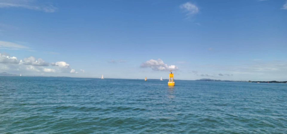 tjZbOD_q35yVOvTmQOoK01C0a5FEpgT4sTcIQq2FPlom0s02zrRzq58b390BlpYK