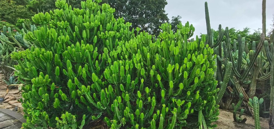 tjZbOD_q35yVOvTmQOoK09ugdXoSq9Xf9rTGeE9e2EIfBEs4Arn2X7PSUXqYBIqX