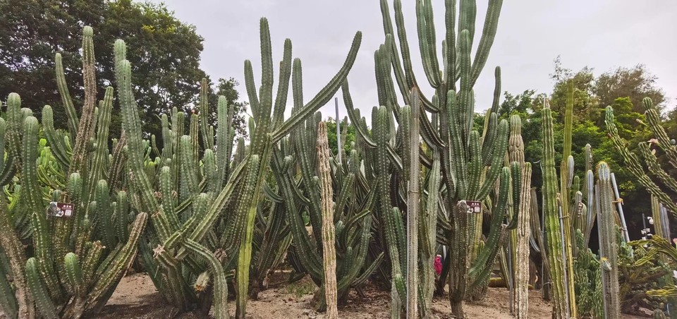 tjZbOD_q35yVOvTmQOoK02jybHYlx0FjyEWHQv8tLyr1TwXyl3xj03-wD8JAlQIj