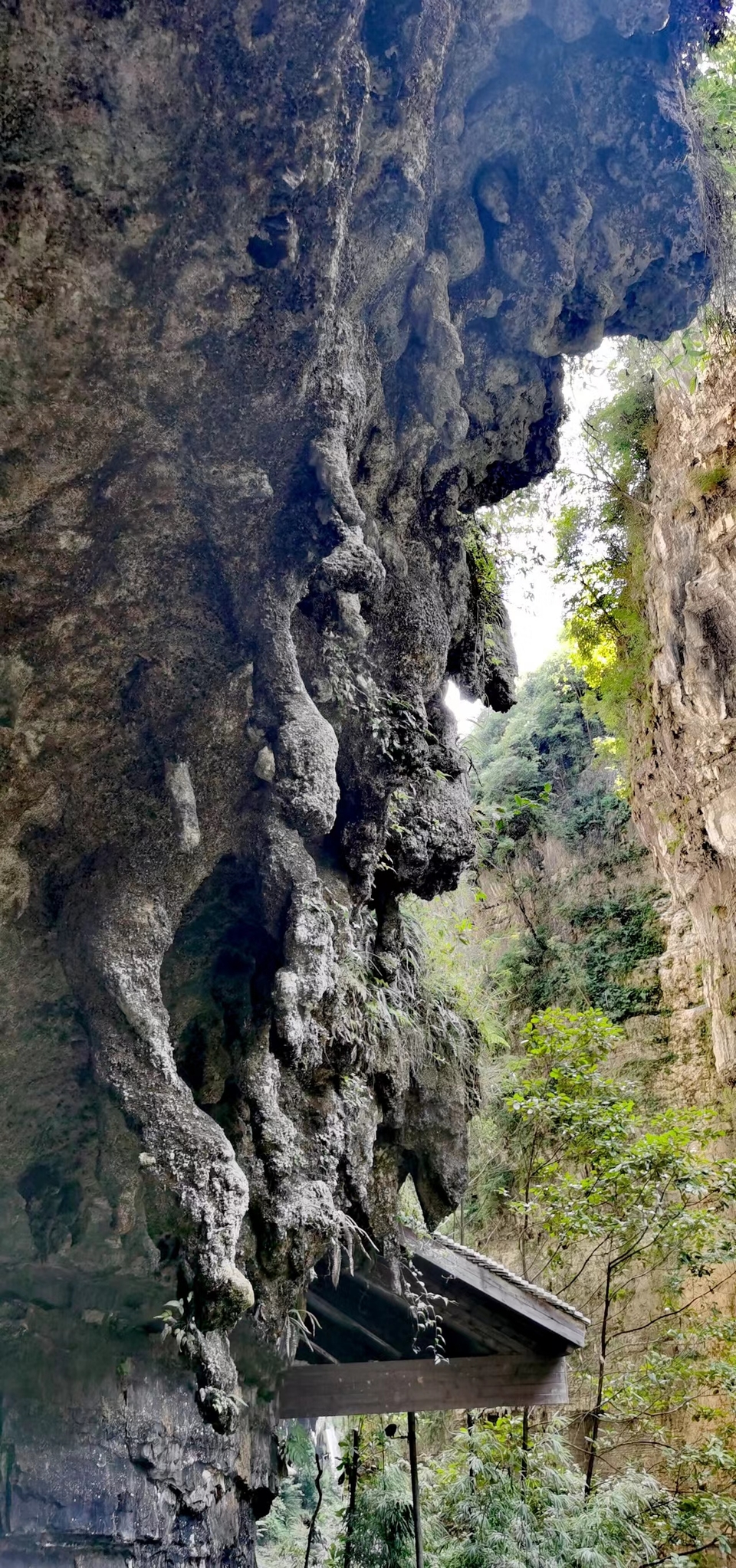 qxFHYlx9s5U9ma99L_2VGYkxfLFe3jCnNNYTdzPnnRB0STtT4UH-FrWLDfSFAtoE