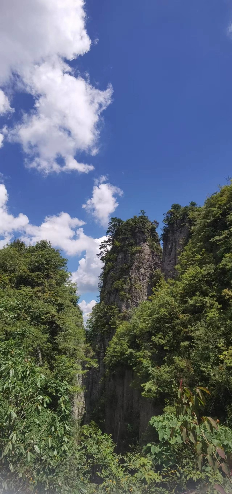 qxFHYlx9s5U9ma99L_2VGa4odU2d9mgB47L6wJyjAWWO9u2hfAG5Ay6vBeg1b6QC