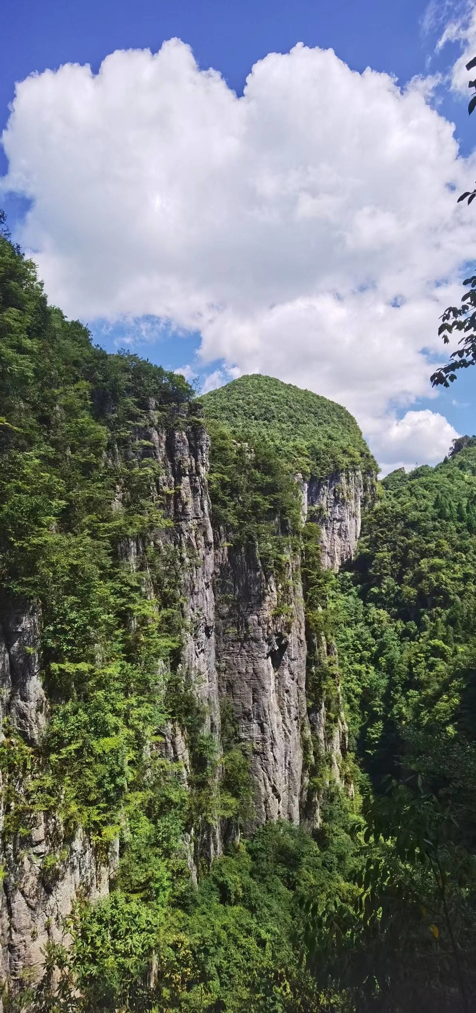 qxFHYlx9s5U9ma99L_2VGQ-grKLPwbjWFfqN-9EHacaZ2anYtdSbf99tJ5ErPyCt