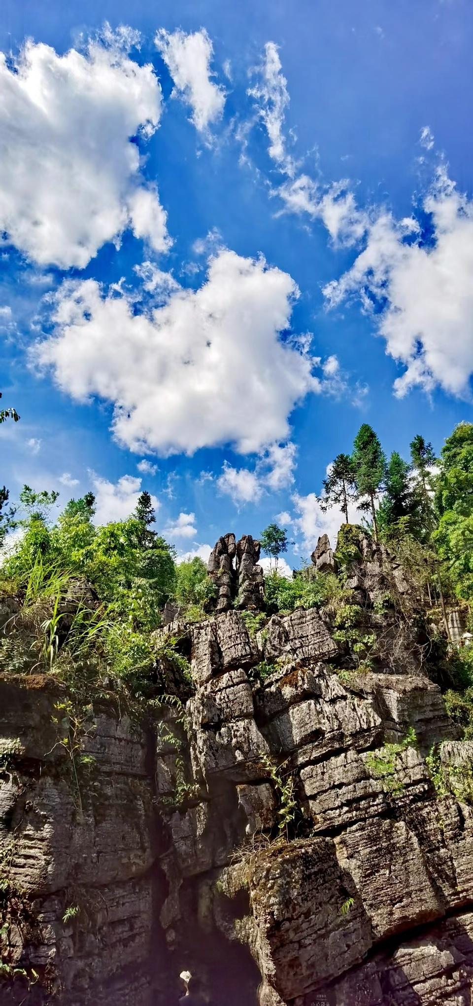 qxFHYlx9s5U9ma99L_2VGZZj1T7hrLBpF87LoAa3jEyDnuSnoRcLgW7J3d9SgUzC