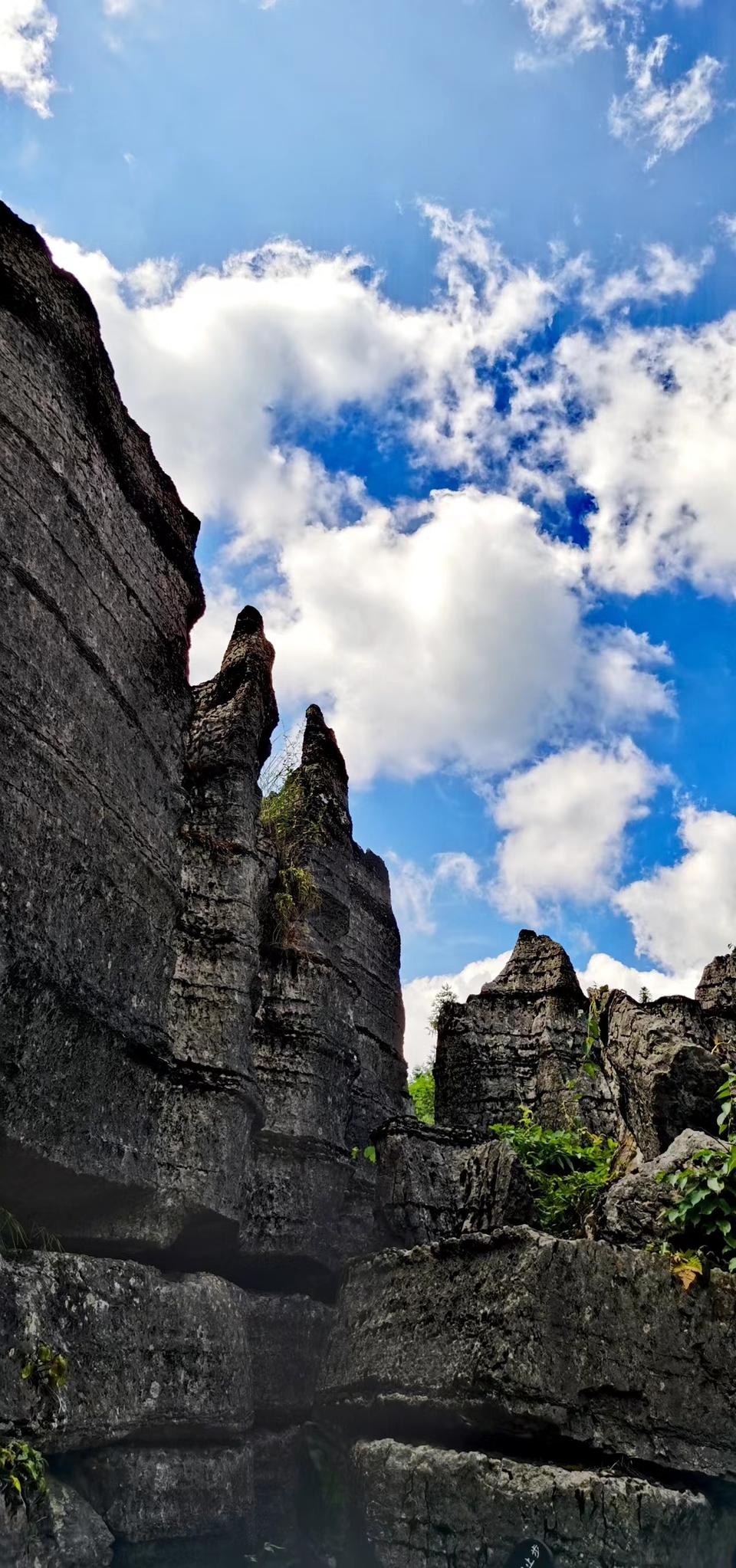 qxFHYlx9s5U9ma99L_2VGclWzT8vIbtILnebfxrqQWUsP_yK6XBg1BYjvKiko3oO