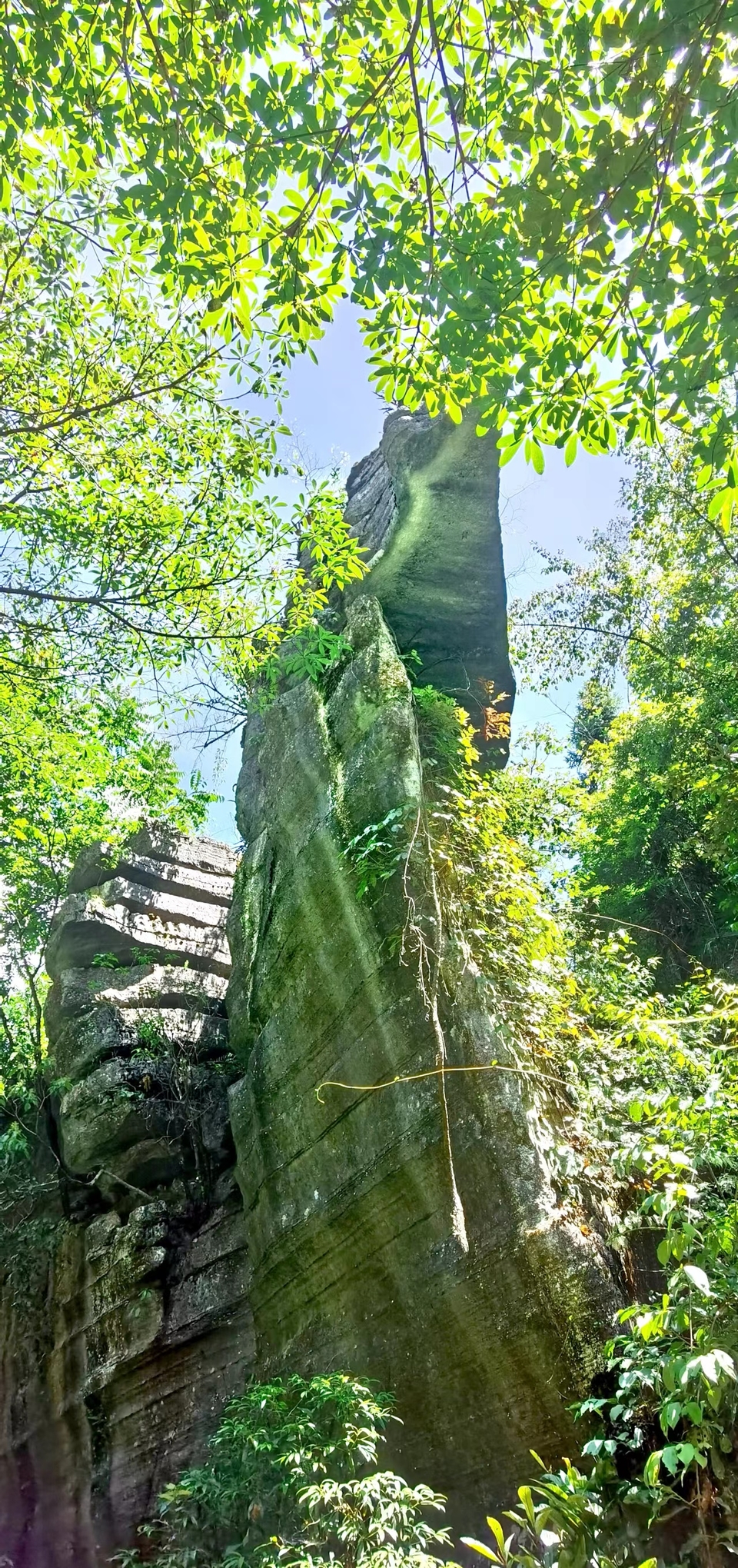 qxFHYlx9s5U9ma99L_2VGSfqfygPWOtRwvEsbNooJAfbN1ahveprVmum_fkLQJ9U