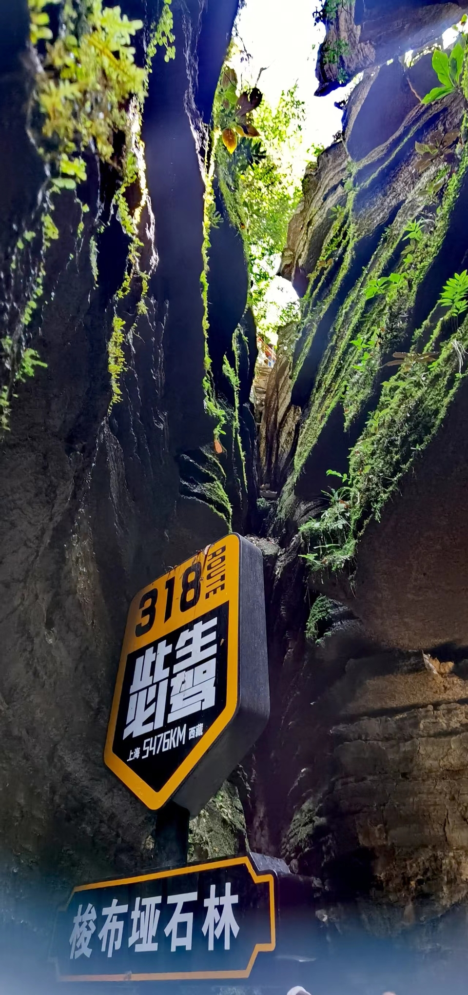 qxFHYlx9s5U9ma99L_2VGVl4ZcfMZbQvdtYxCAxlH6DvPbNMPIaD9DwEURSWc4dy