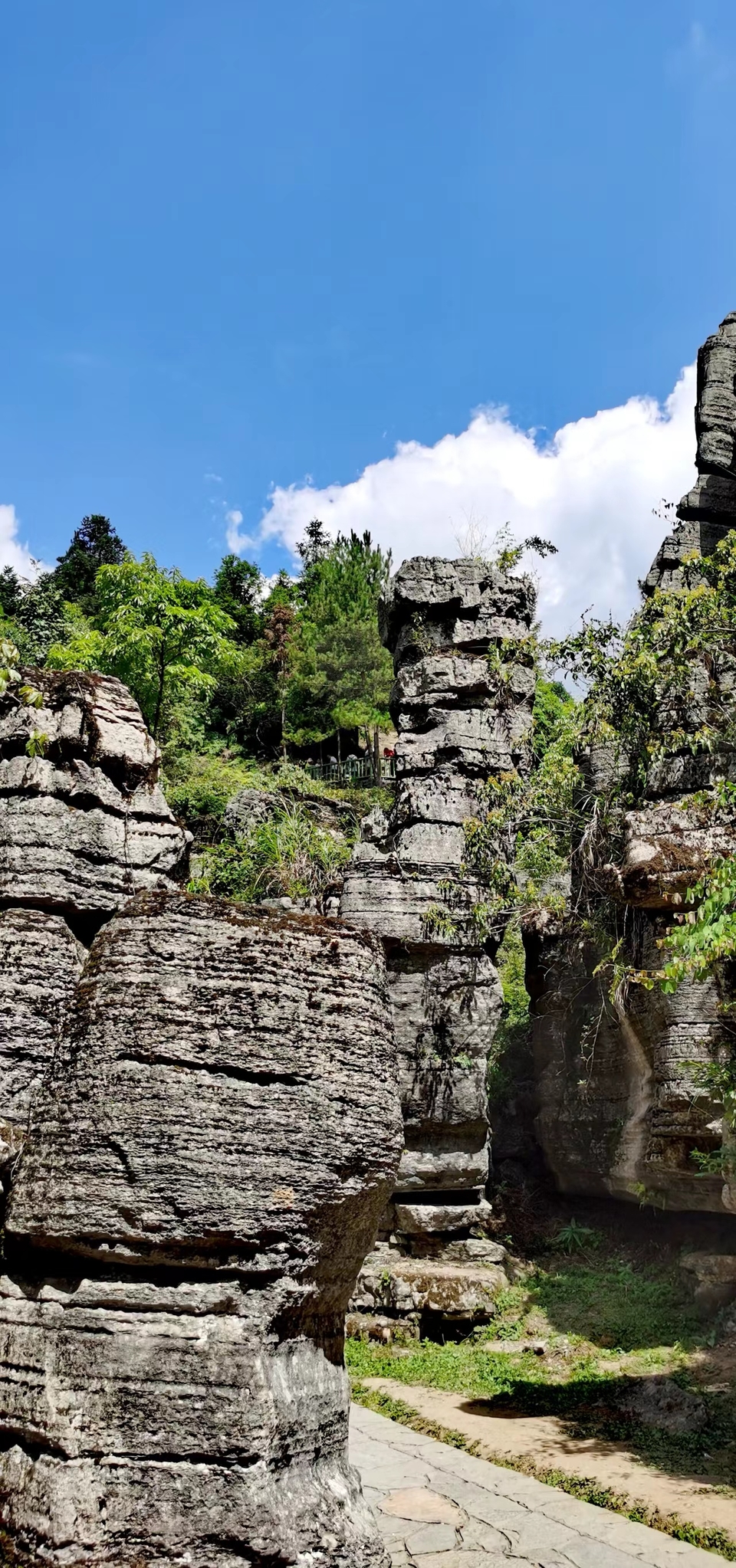 qxFHYlx9s5U9ma99L_2VGRW-a9diEZEVLismM5jq_bDzpsYYvu8poOrd9JF-igSI