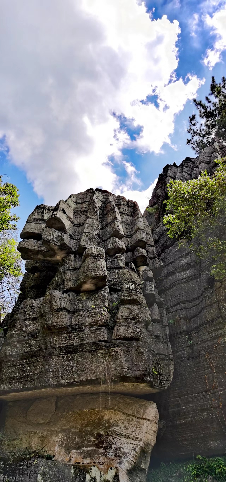 qxFHYlx9s5U9ma99L_2VGWL_Sbl0CzV1xazuBmSDuryq5GTrkgO8Dt_IiYtv-nP2