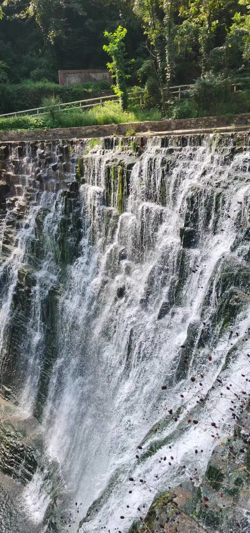 T-Y_ag4gPntsRGnOMP_CaIavJhfk1ZVKXmyZPqGzHElBYIAg-XtuWQaI_AqrxJiS