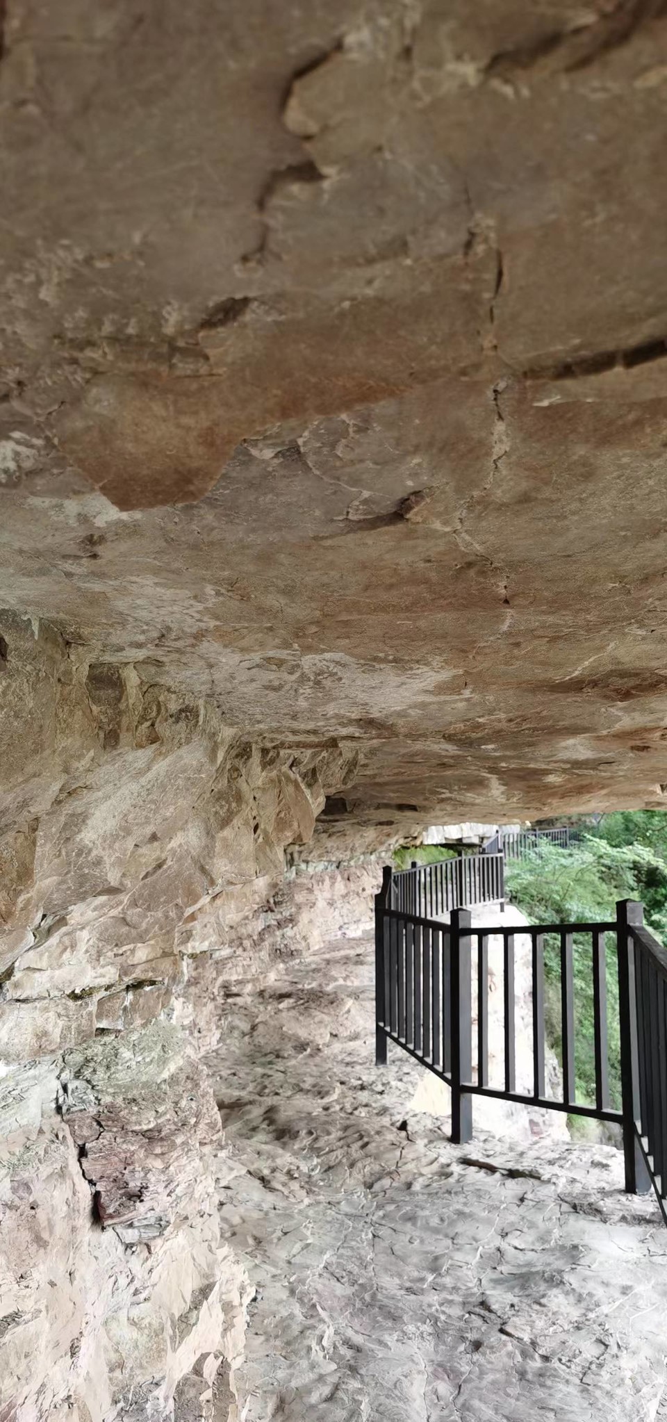 T-Y_ag4gPntsRGnOMP_CaKVdOVw5b7ldAOZaJHfqwQUFyxg2XBMKPJaRtF2yReoa