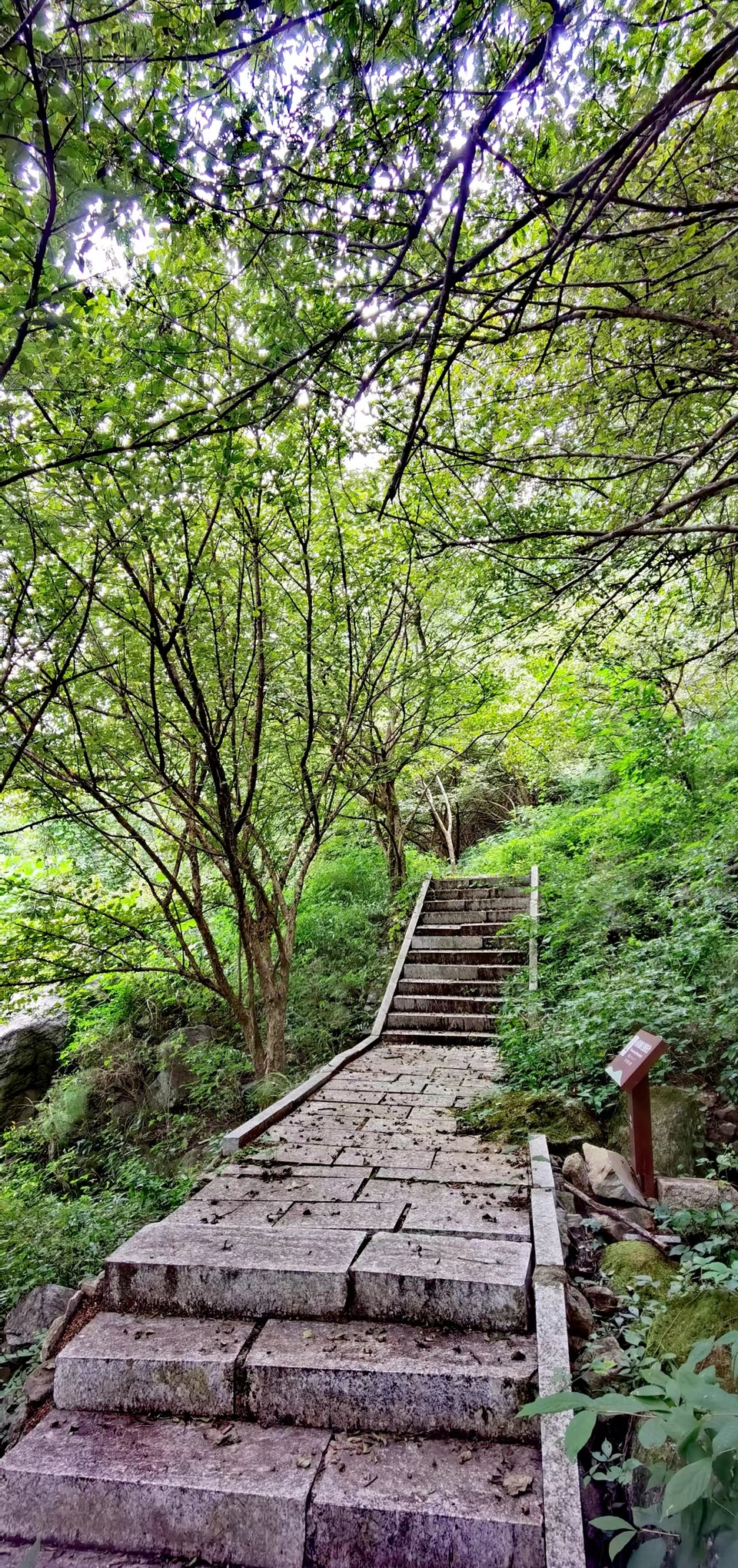 DyVp6aNriZ74a7srhauVK-qA-w594lPM5G-VHUH9n4IkIvs_LpTmsedsCV6Znbkm