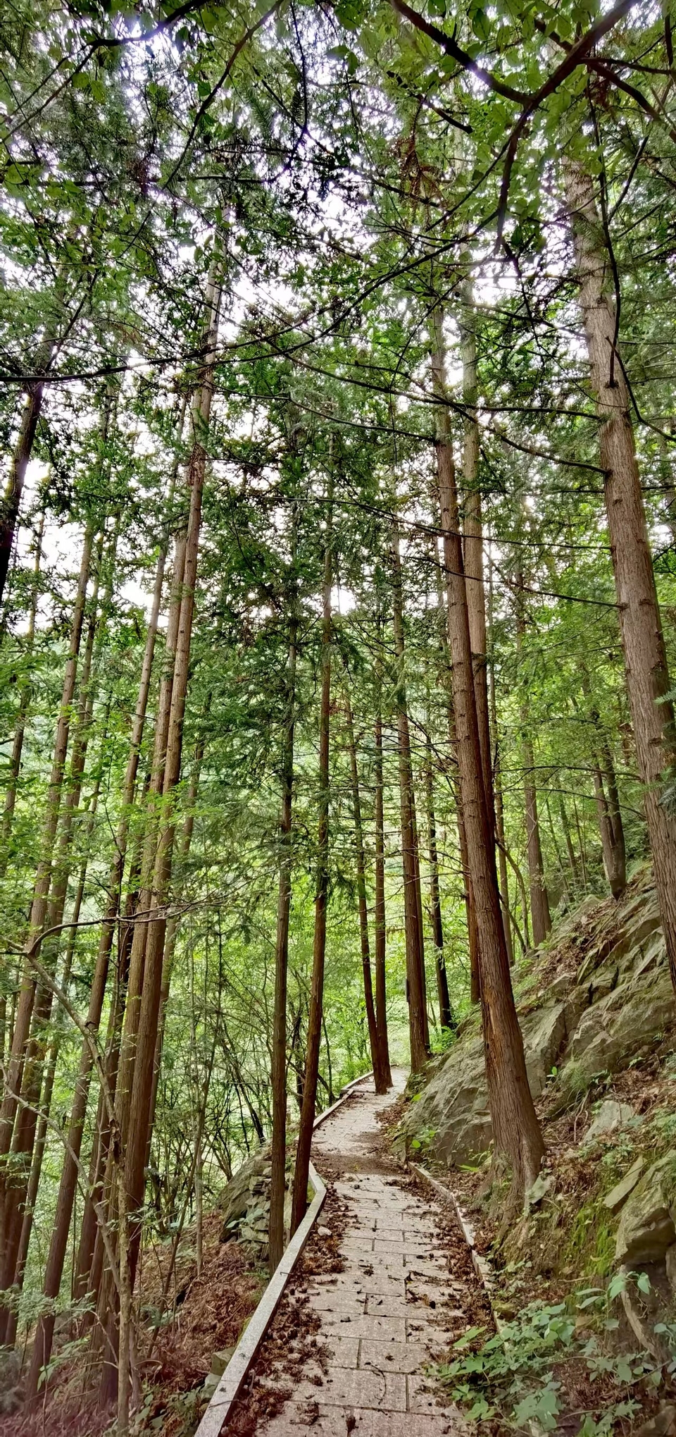 DyVp6aNriZ74a7srhauVKz78MRBj0m3tlyDYe-tbBRUkKnu270V5b-032znJx5SQ