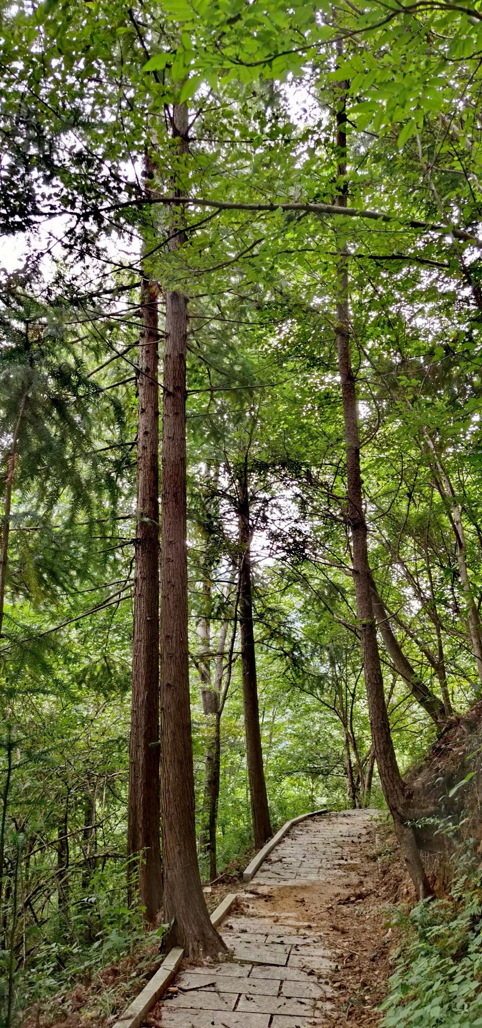 DyVp6aNriZ74a7srhauVK3Rgpg84x9pGOrbKCNtMRKUthCl7Pj6x1Fg6bGG4mgGT