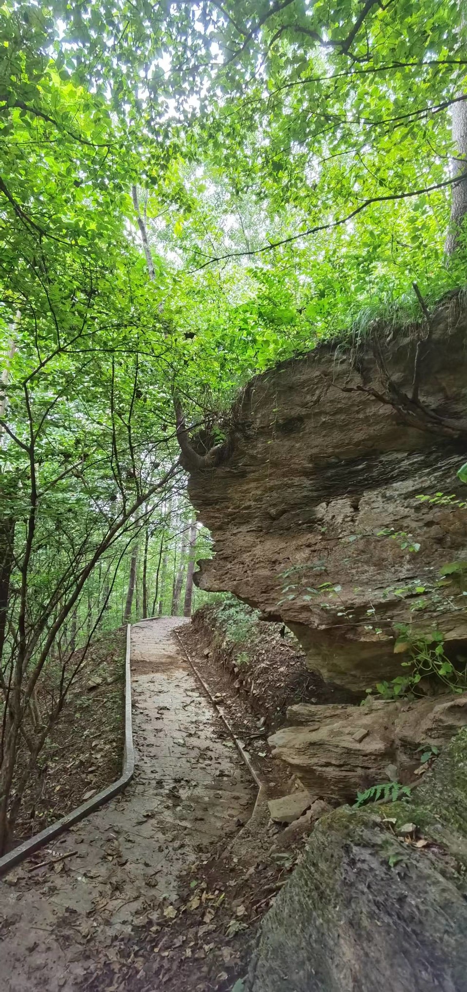 DyVp6aNriZ74a7srhauVKyk_lsSoYqRXJH9e4fEOQSLZ9xlZDAP6A33YtxJXDLPD