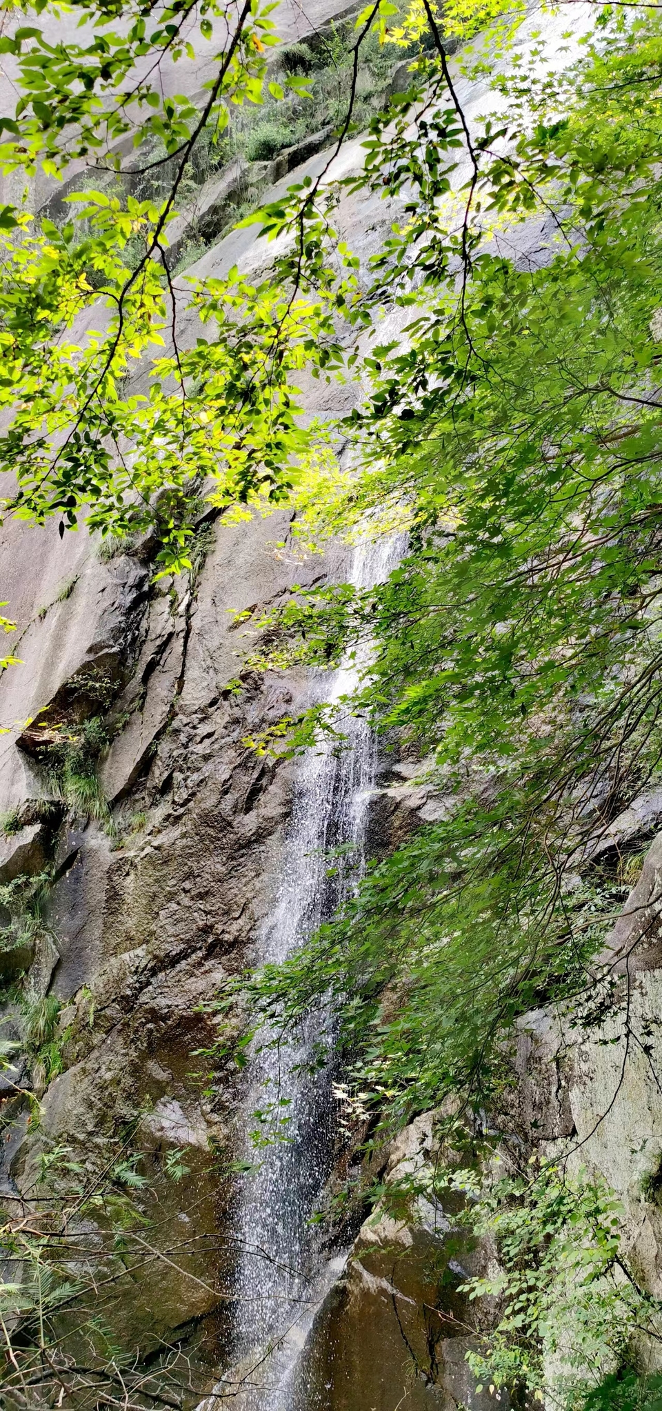 DyVp6aNriZ74a7srhauVKw7BVihbpGwD2DetbxaM4xkxS0gX1WoEhUJNONx2_idq